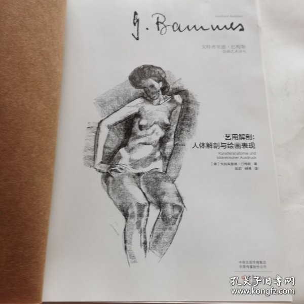 艺用解剖—人体解剖与绘画表现（精）戈特弗里德•巴梅斯绘画艺术译丛