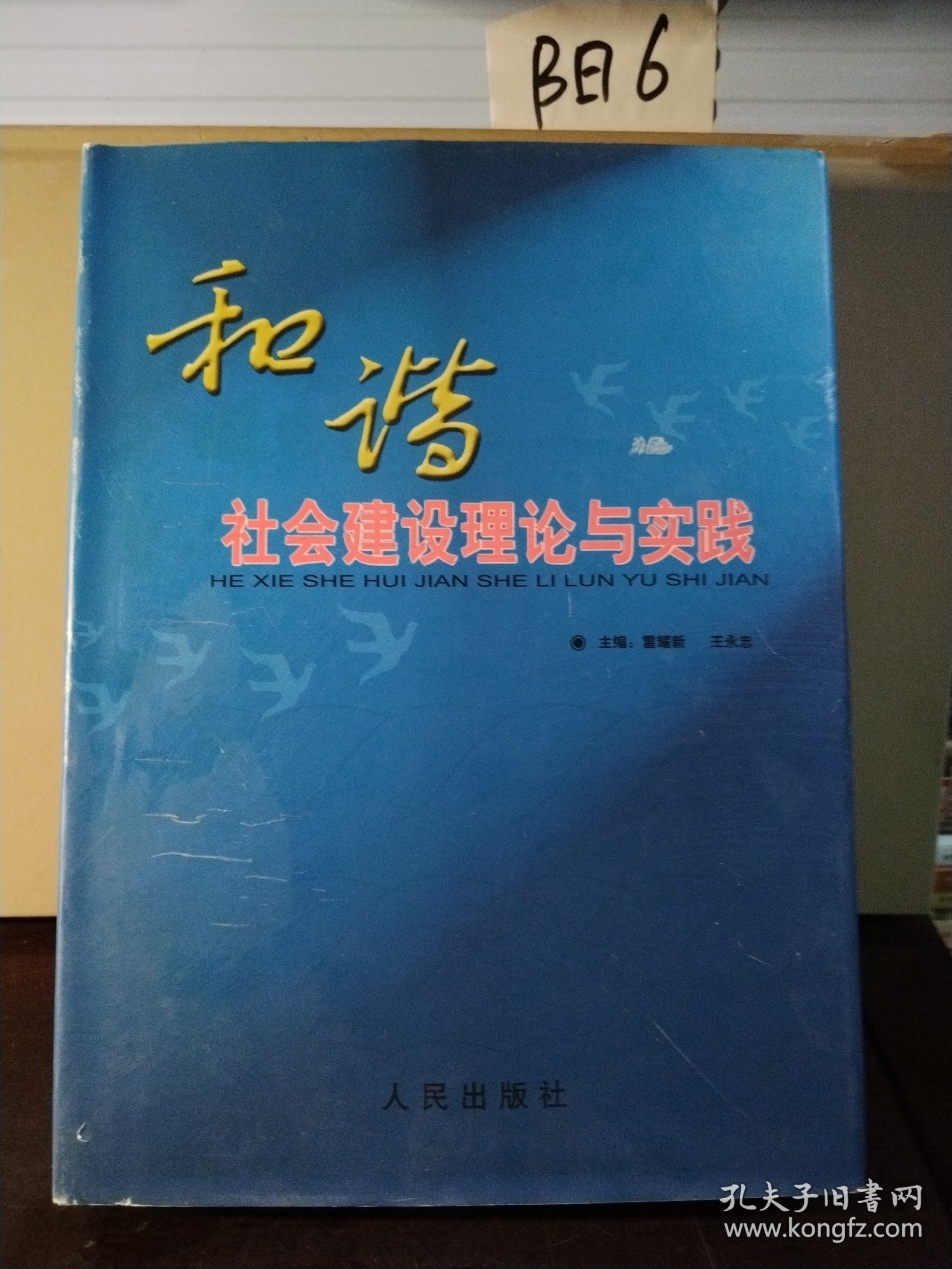 和谐社会建设理论与实践