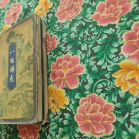 八极游龙