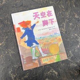 启发竞选美国凯迪克大奖绘本：天空在脚下