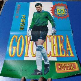 阿根廷队门将:戈耶切亚（海报）足球俱乐部1994年第九9期