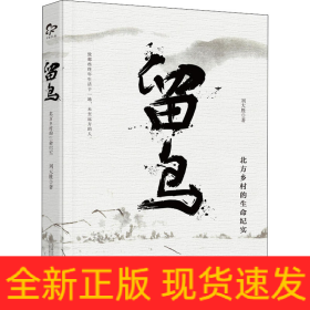 留鸟 北方乡村的生命纪实
