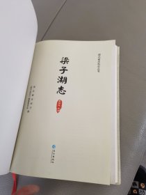 梁子湖志/湖北省水利志丛书。未翻阅