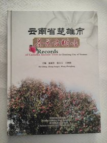 云南省楚雄市茶花古树录