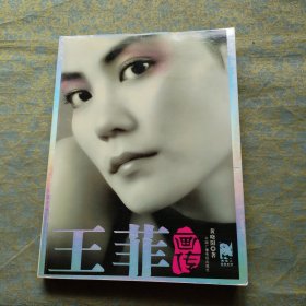 王菲画传