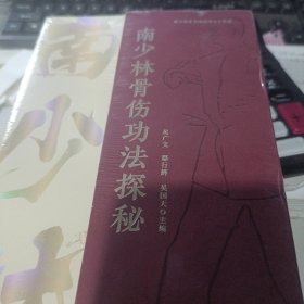 南少林骨伤功法探秘(共5册)