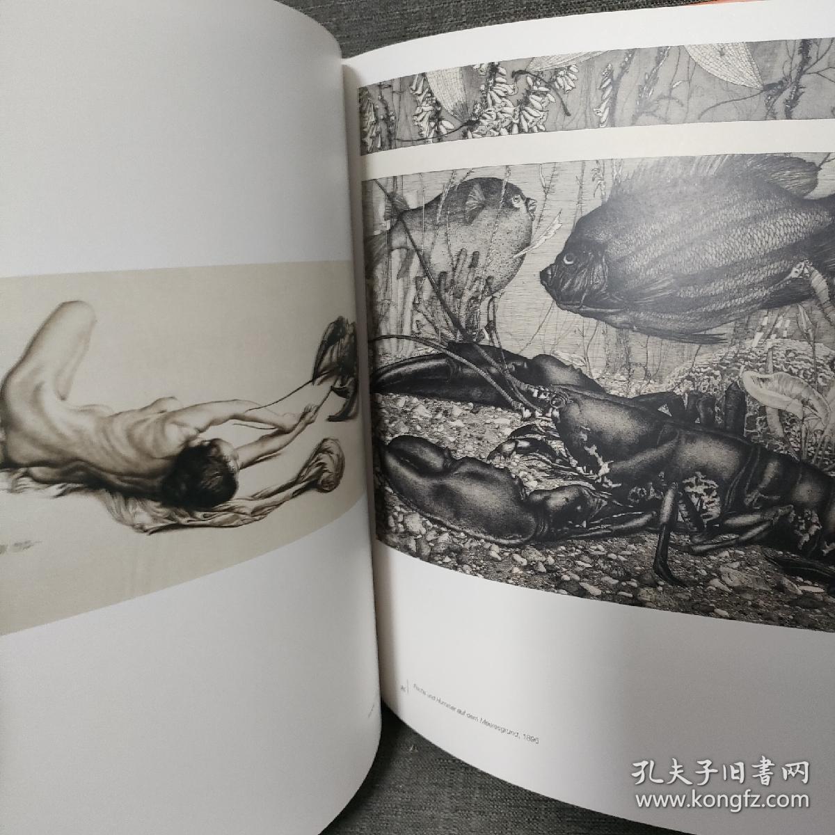 德语 die schone und beauty das biest and the best 美女与野兽 绘画艺术