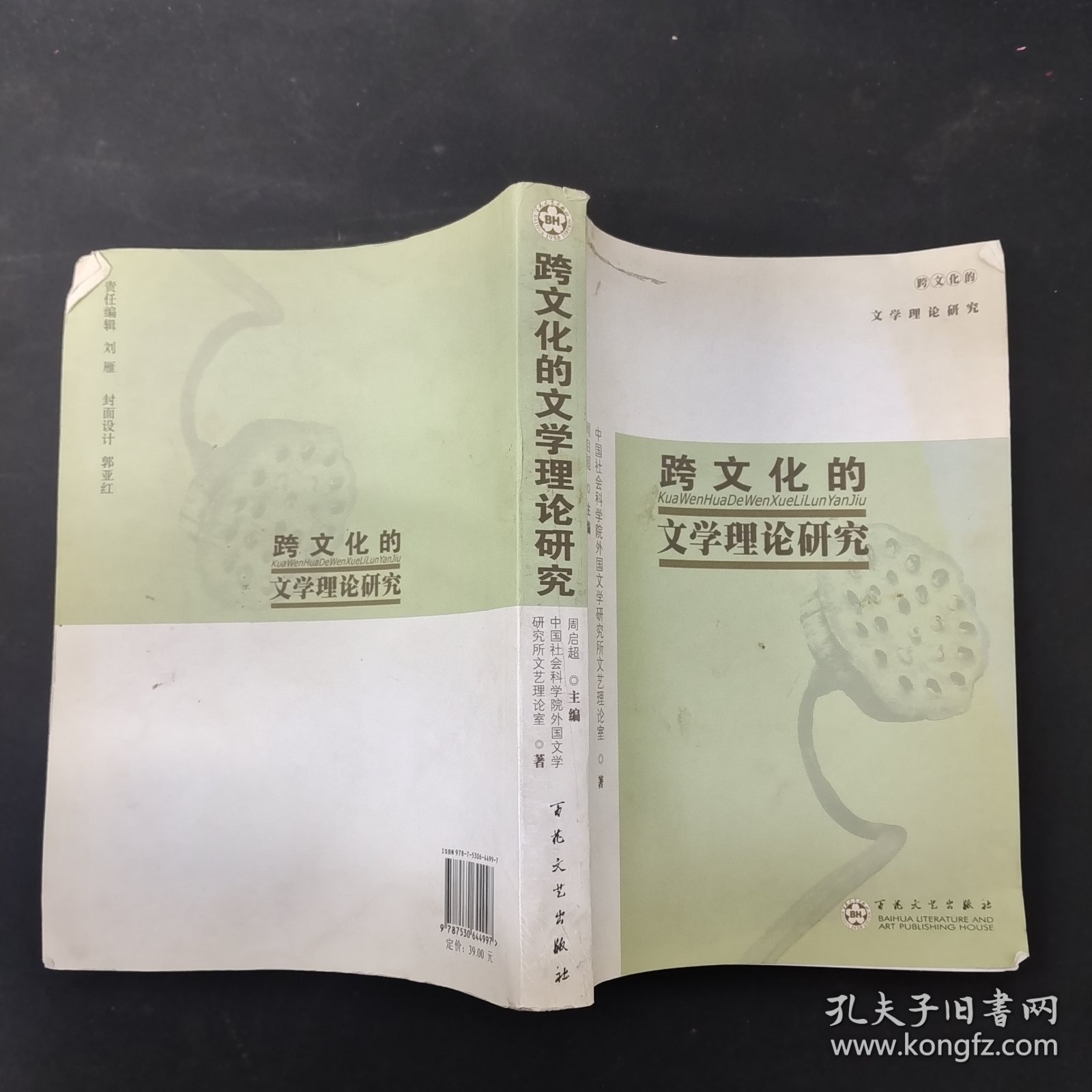 跨文化的文学理论研究