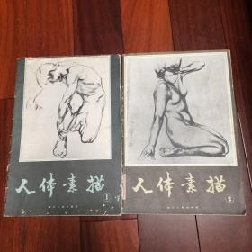 人体素描（1.2册）