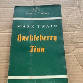 Huckleberry finn