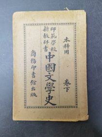 中國文學史卷（下卷）