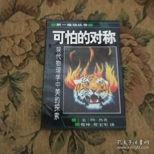 可怕的对称：现代物理学中美的探索