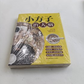 小方子治大病 中医书籍养生偏方大全民间老偏方美容养颜常见病防治 保健食疗偏方秘方大全小偏方老偏方中医健康养生保健疗法