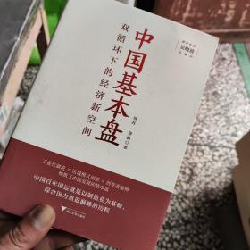 中国基本盘（吴晓波总顾问倾力推荐！读懂基本盘，把握中国新发展的大逻辑）