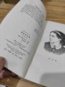 新译全本：黑奴吁天录（上下）