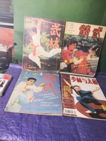 武林1988 12+精武1988 5+1992 1+少林与太极2002 5共4册合售