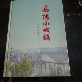 岳阳小城镇