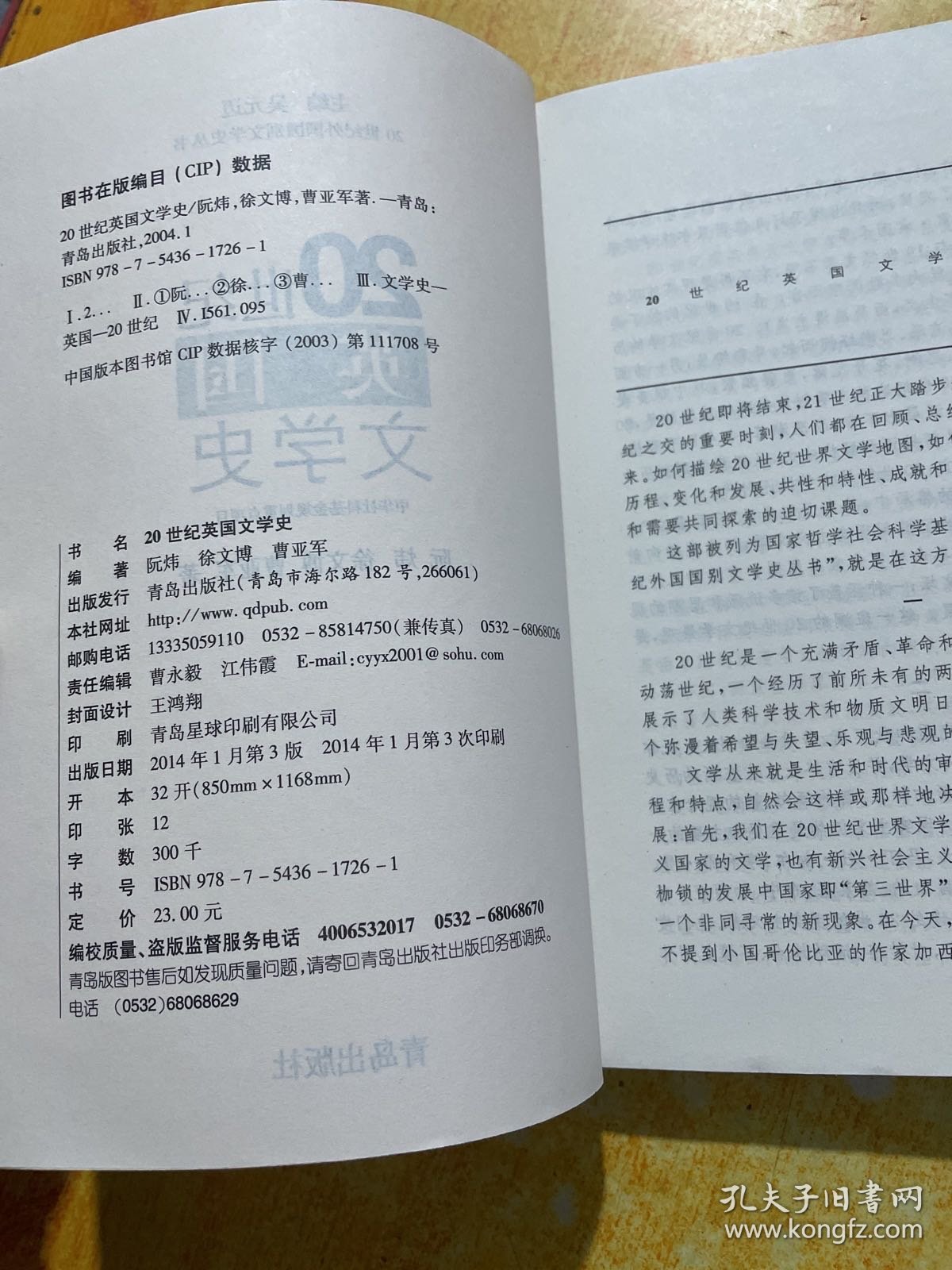 20世纪外国国别文学史丛书：20世纪英国文学史