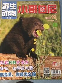小哥白尼 野生动物画报 2016 11