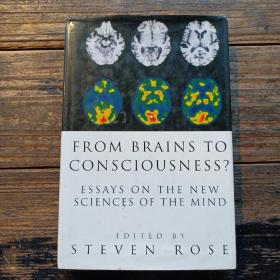 From Brains to Consciousness