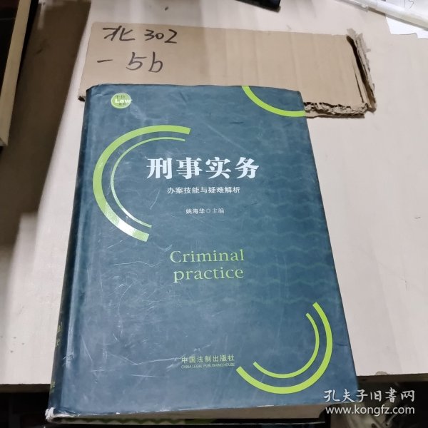 刑事实务办案技能与疑难解析