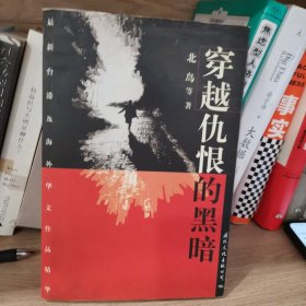 穿越仇恨的黑暗