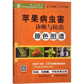 保正版！苹果病虫害诊断与防治原色图谱9787109311251中国农业出版社翟浩,薛晓敏,王丹