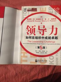 领导力：如何在组织中成就卓越（第5版）