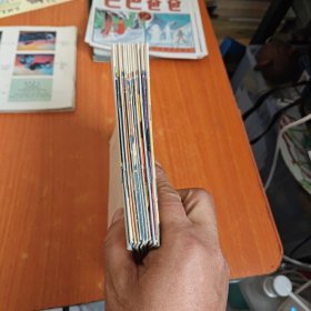 佐罗新冒险丛书：佐罗13册全