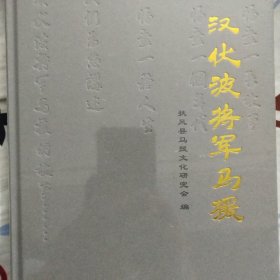 汉伏波将军马援