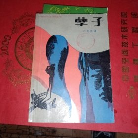 孽子：海内外文学丛书 一版一印