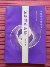 神经网络计算(智能科学与非线性科学丛书)