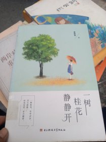 一树桂花静静开
