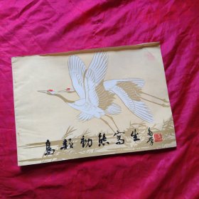 鸟类动态写生