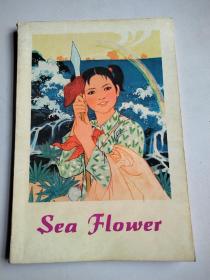 海花 Sea Flower 英文版