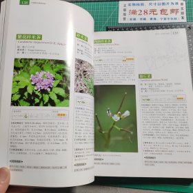 中国野生蔬菜资源