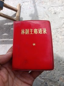 林副主席语录