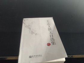 王志文散文自选集