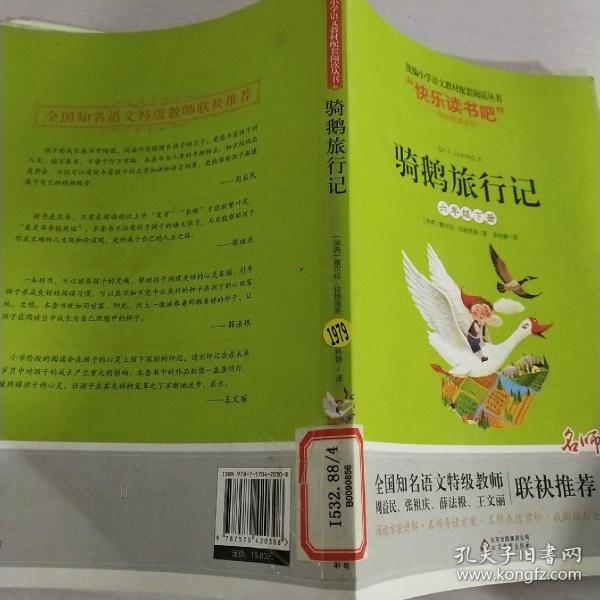 骑鹅旅行记（六年级下册名师讲解版）/“快乐读书吧”·统编小学语文教材配套阅读丛书