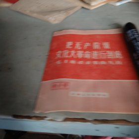 把无产阶级文化大革命进行到底（毛主席语录歌曲九首）