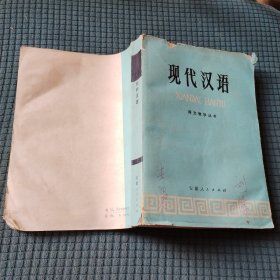 现代汉语 语文教学丛书