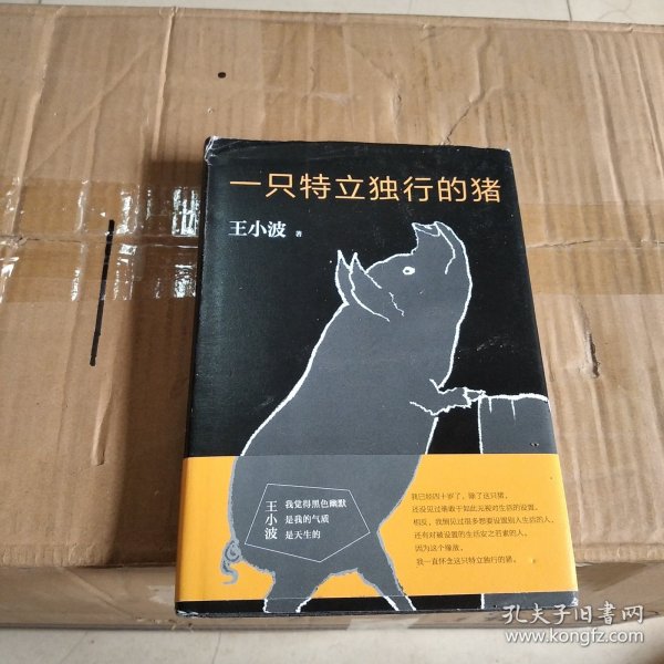 一只特立独行的猪