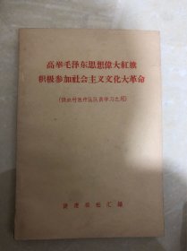 高举毛泽东思想伟大红旗积极参加社会主义