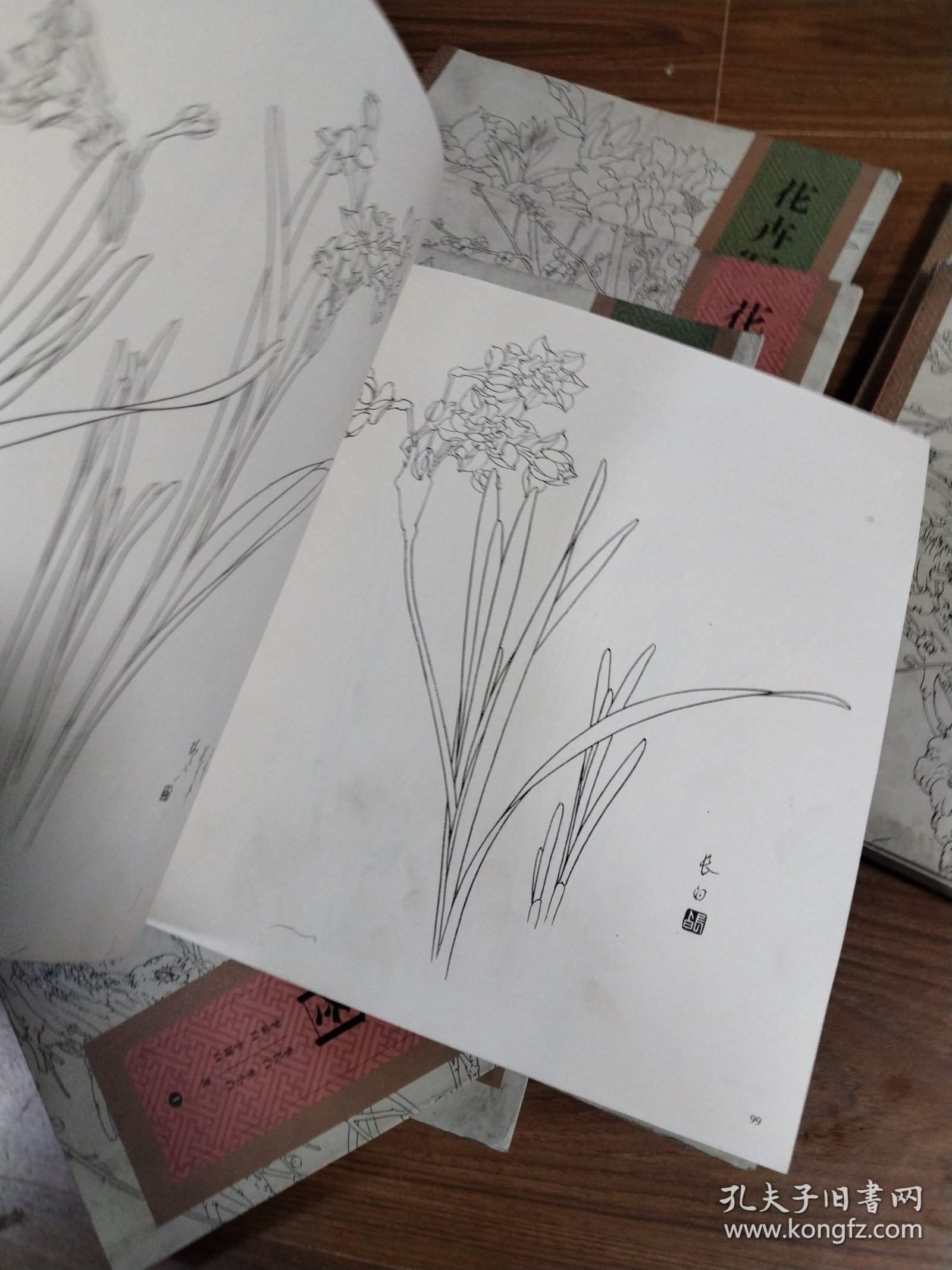 花卉写生构图 上下