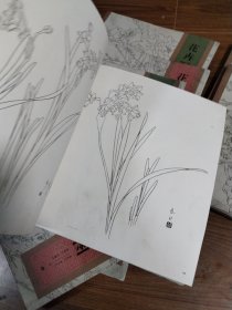 花卉写生构图 上下