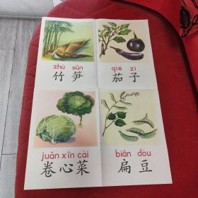 蔬菜教学挂图