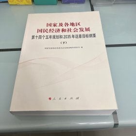 国家及各地区国民经济和社会发展第十四个五年规划和2035年远景目标纲要下