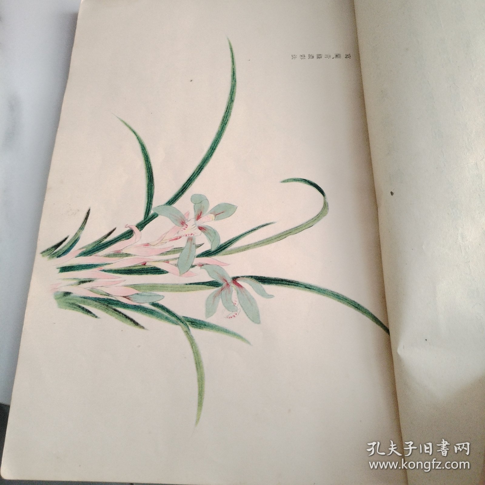 南画大成竹兰之谱