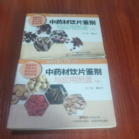 精致中草药工具丛书：中药材饮片鉴别与应用图谱（上下）