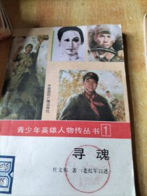 寻魂、赵一曼的故事、刘胡兰的故事、邱少云的故事、黄继光的故事、罗盛教的故事、杜凤瑞的故事(青少年英雄人物传记丛书七本合售不拆零)
